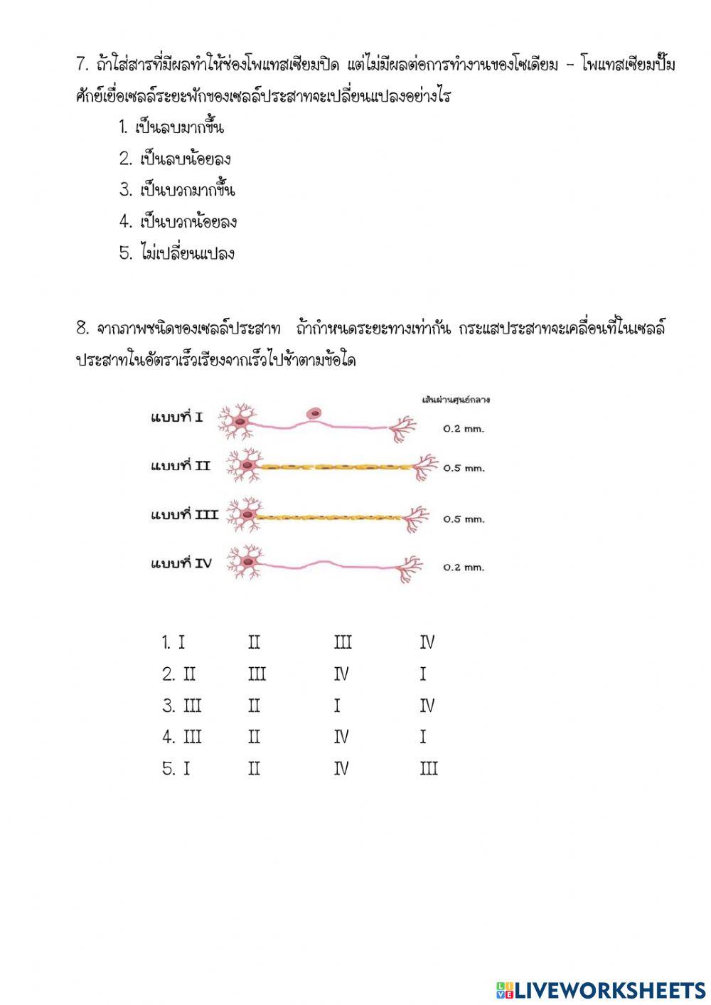 ข้อสอบ เรื่องการตอบสนองของสิ่งีชีวิต