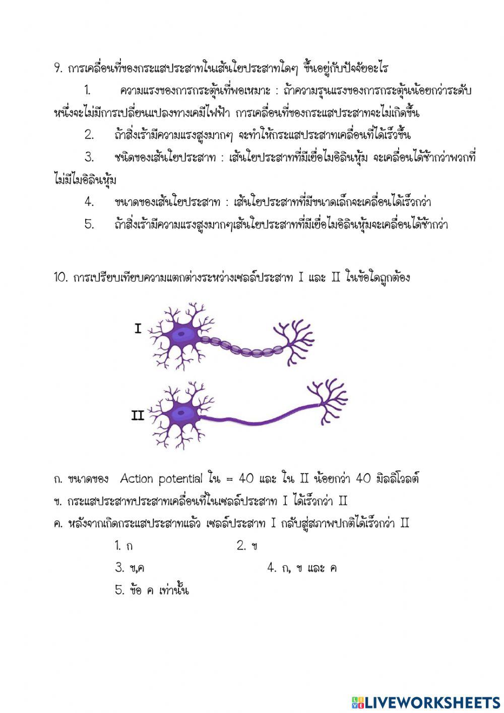ข้อสอบ เรื่องการตอบสนองของสิ่งีชีวิต