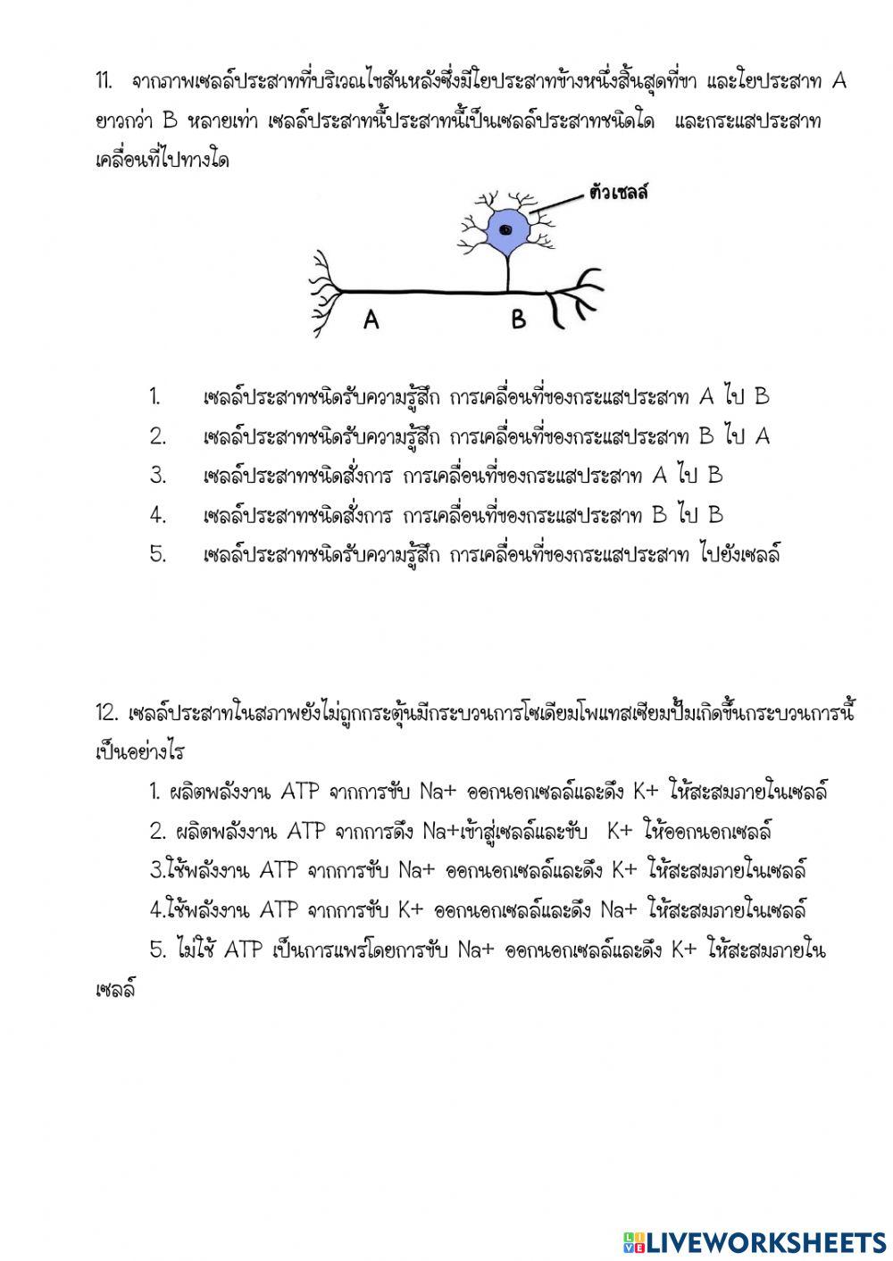 ข้อสอบ เรื่องการตอบสนองของสิ่งีชีวิต