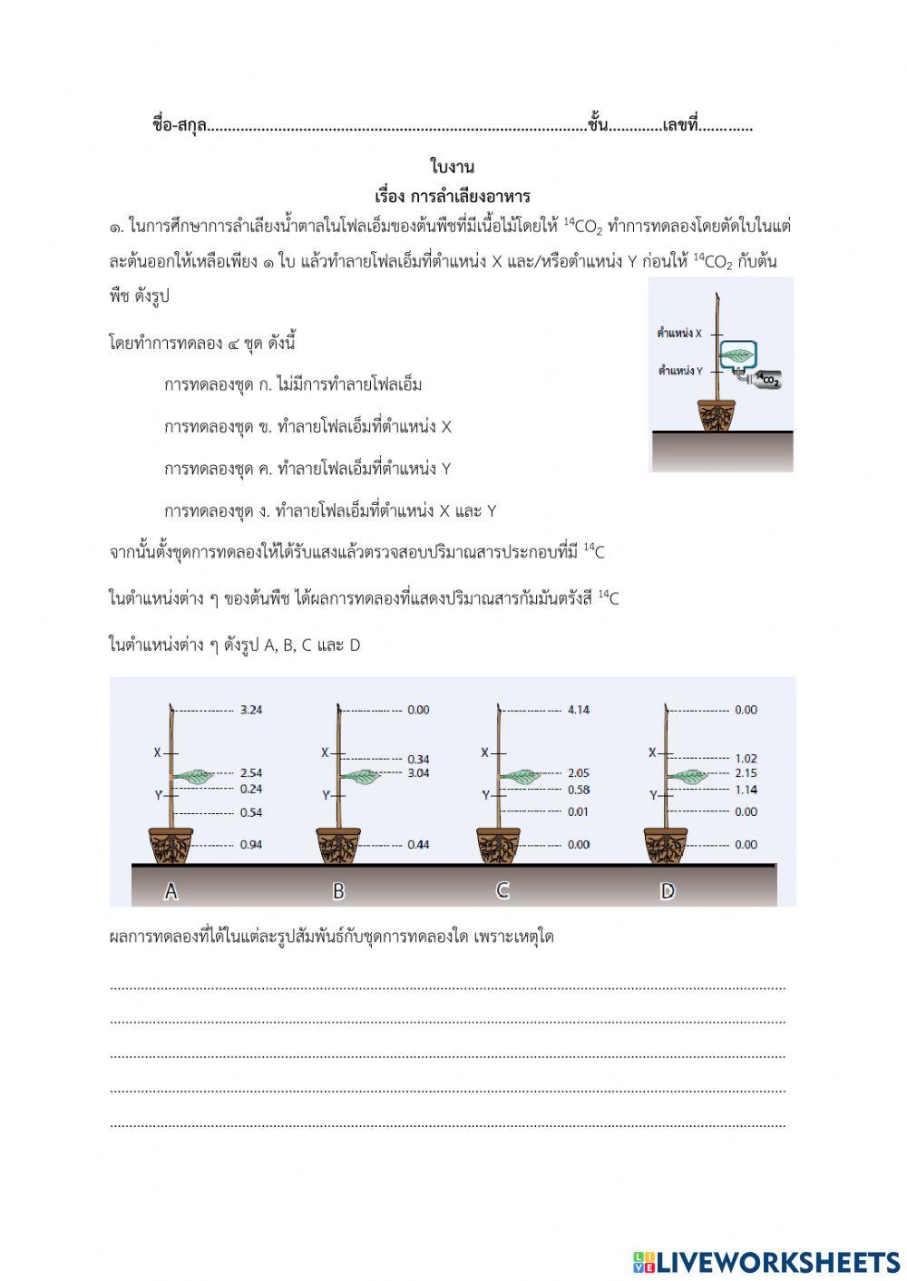 การลำเลียงธาตุอาหารในพืช