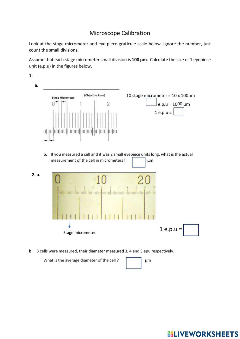 Microscope Calibration online exercise for Live Worksheets