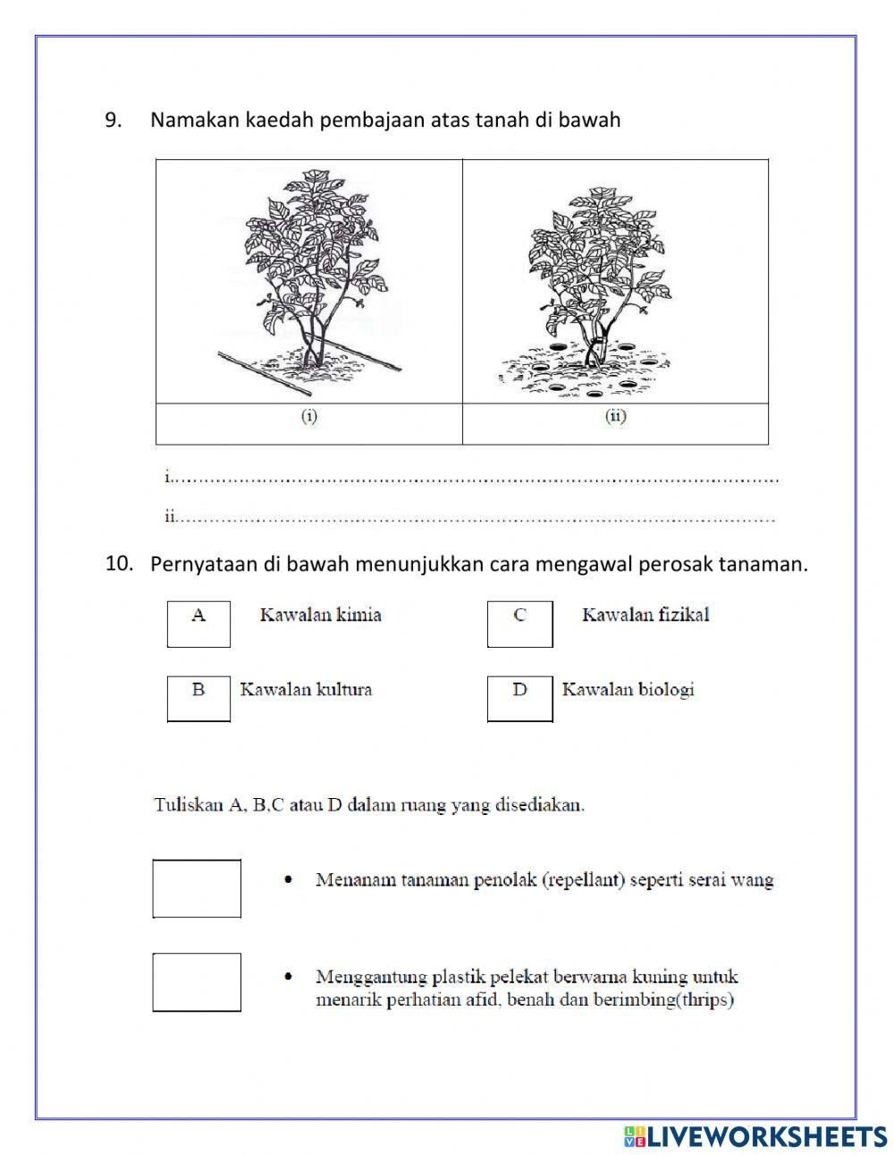 PRA PEPERIKSAAN PdPR (PERTANIAN)