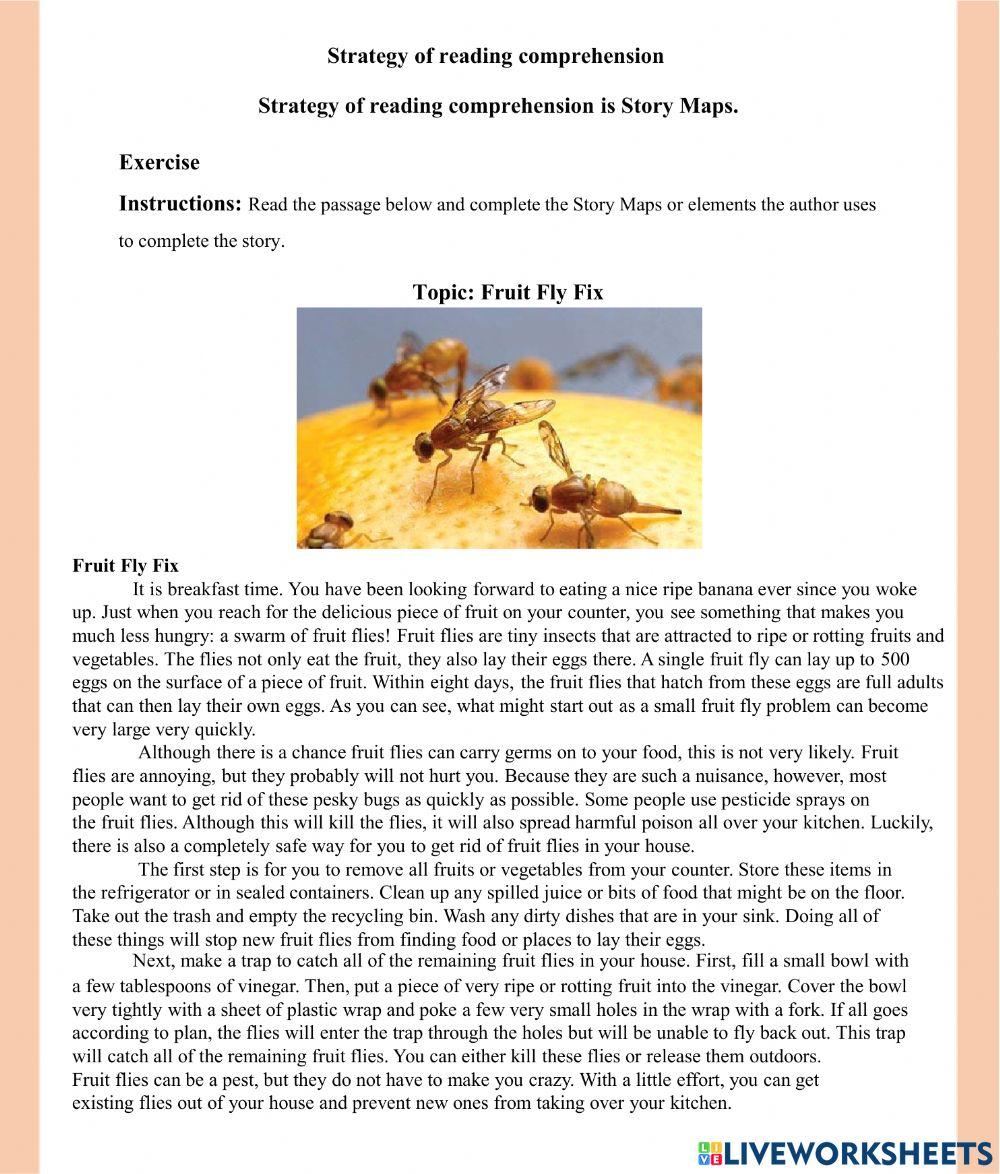 Strategy of reading comprehension