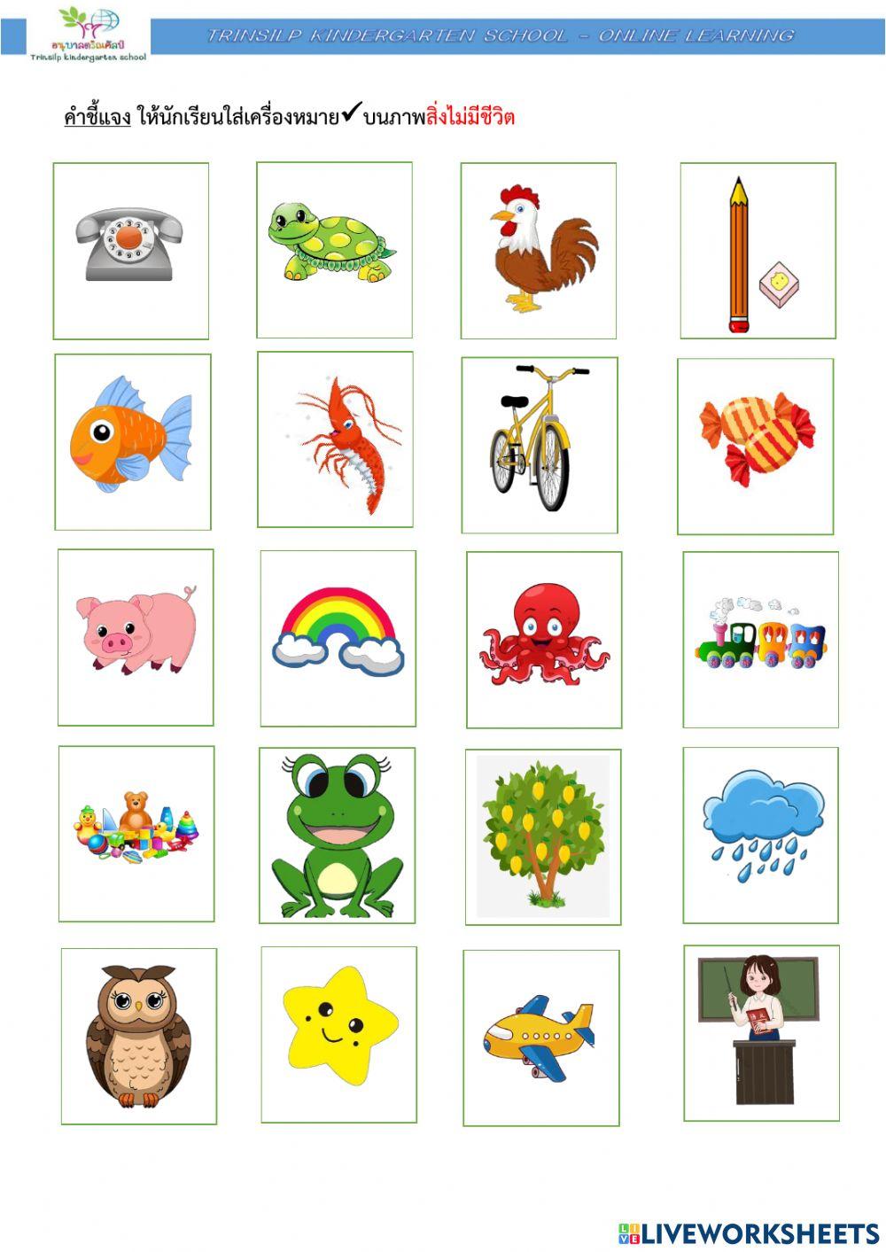 สิ่งรอบตัว