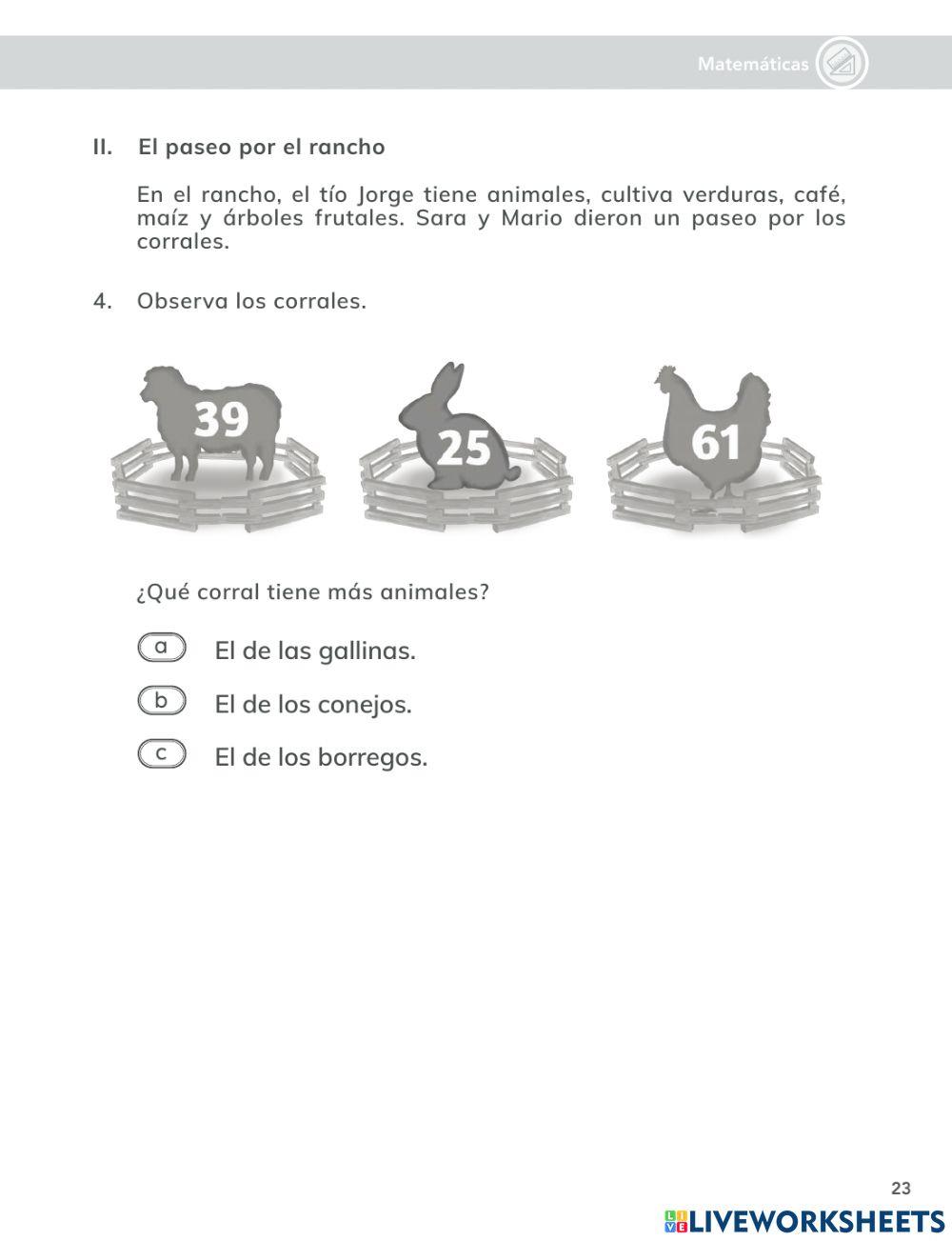 Evaluación diagnóstica