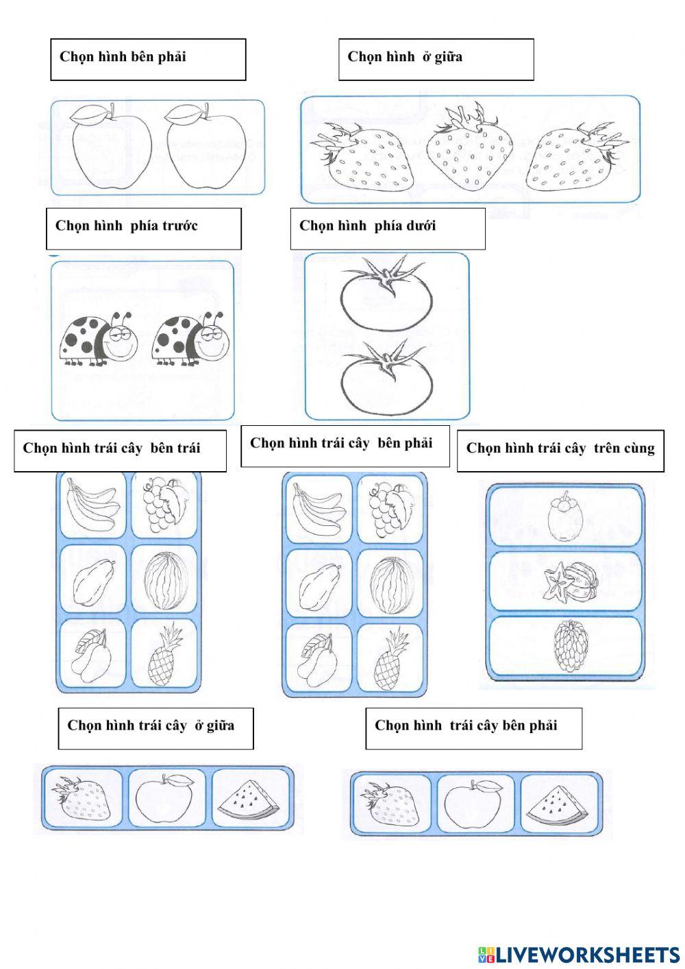 Bài tập toán tuần 1