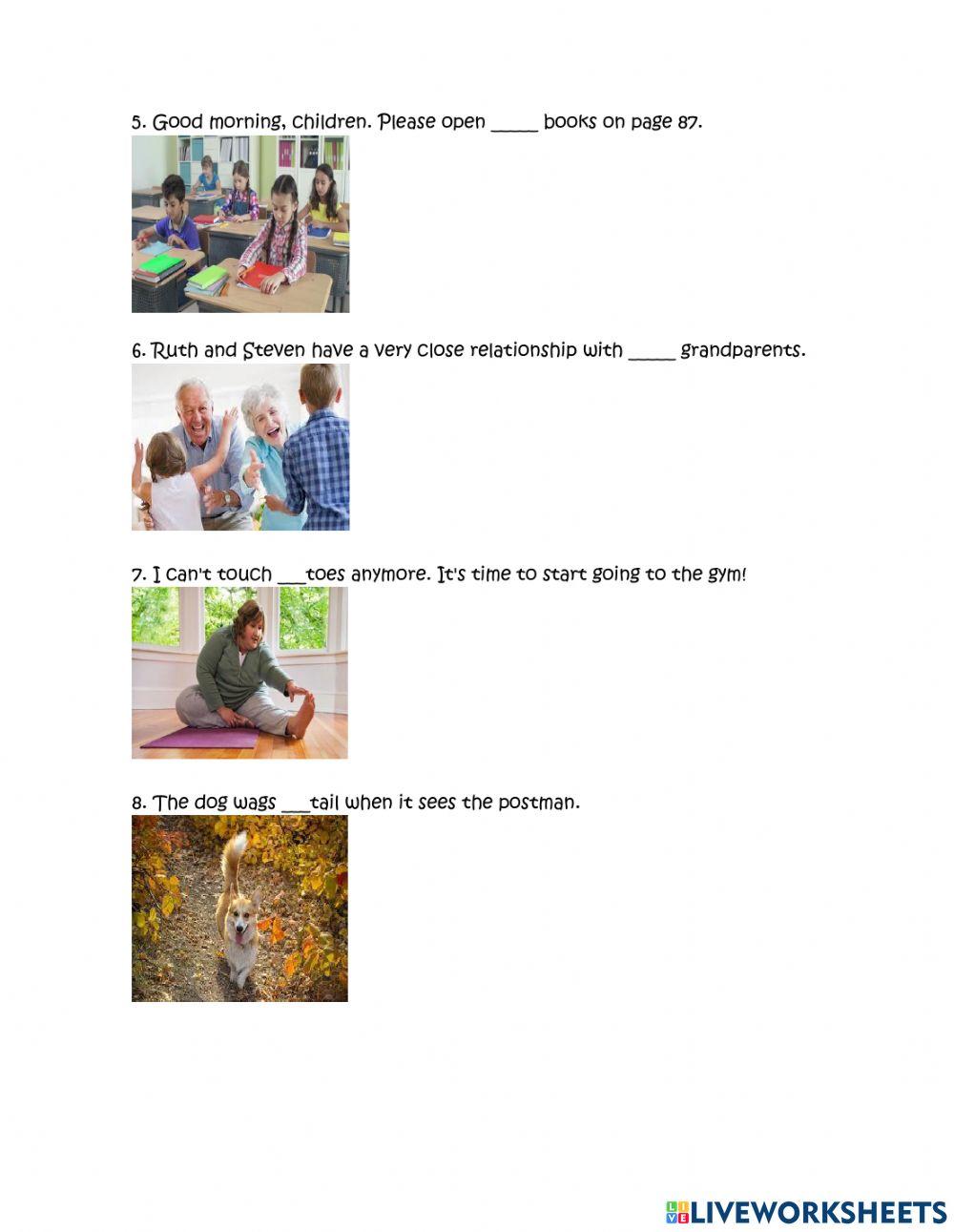 Possessive adjectives