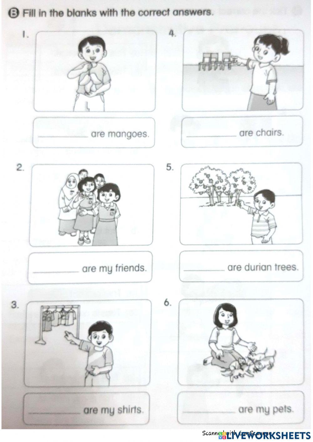 Demonstrative Pronouns