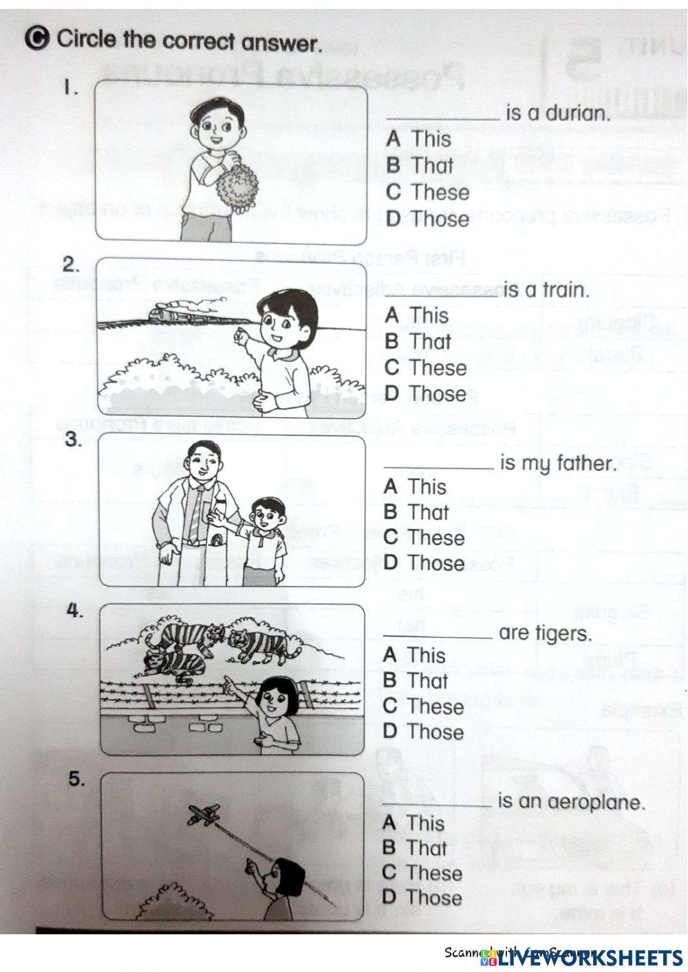 Demonstrative Pronouns