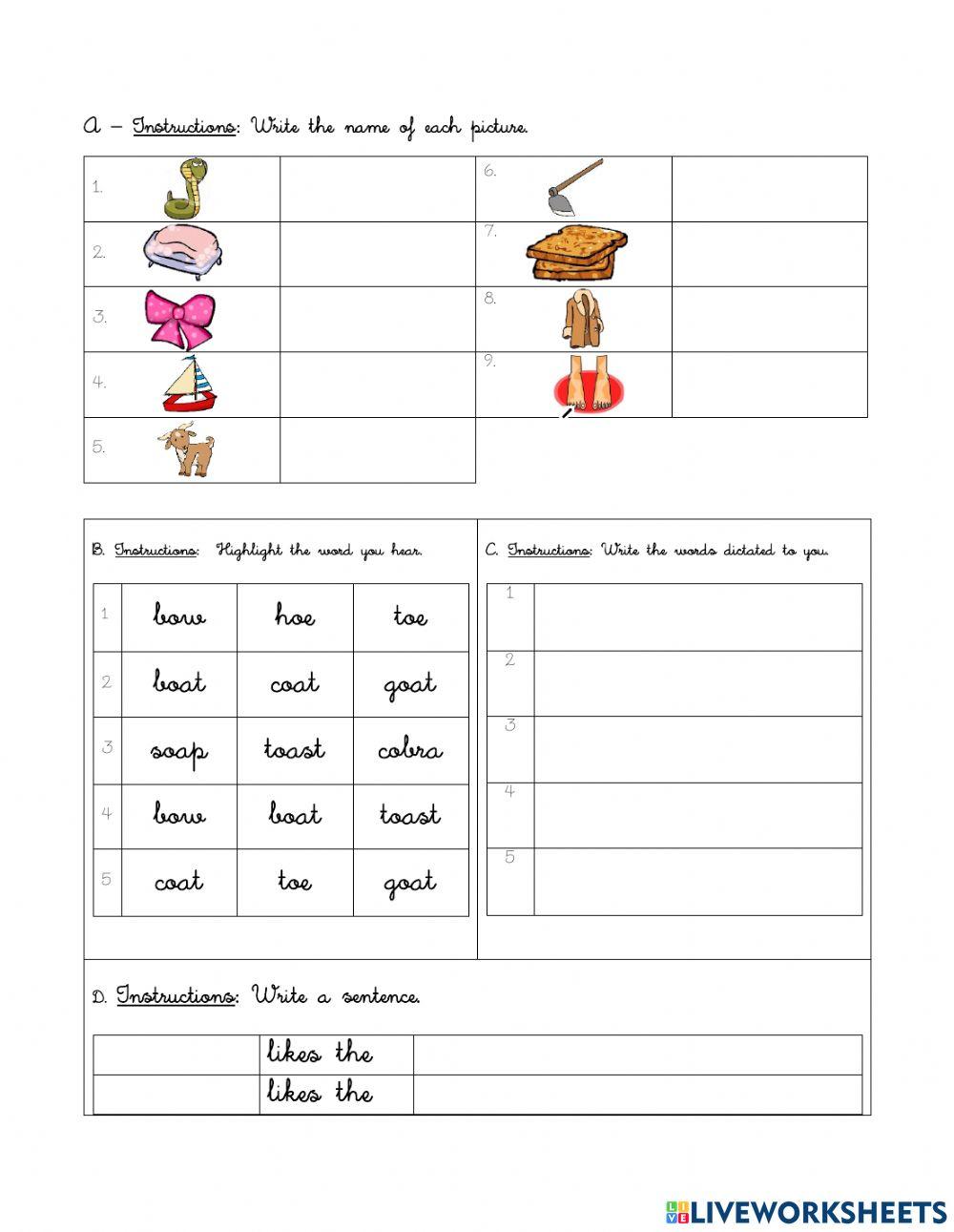 Lesson 14: words with o and oa exercises