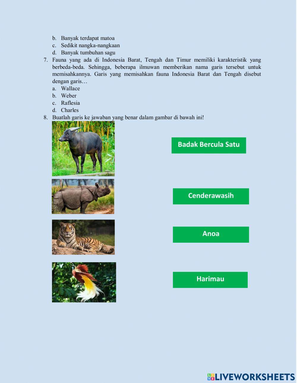 Keragaman Fauna di Indonesia