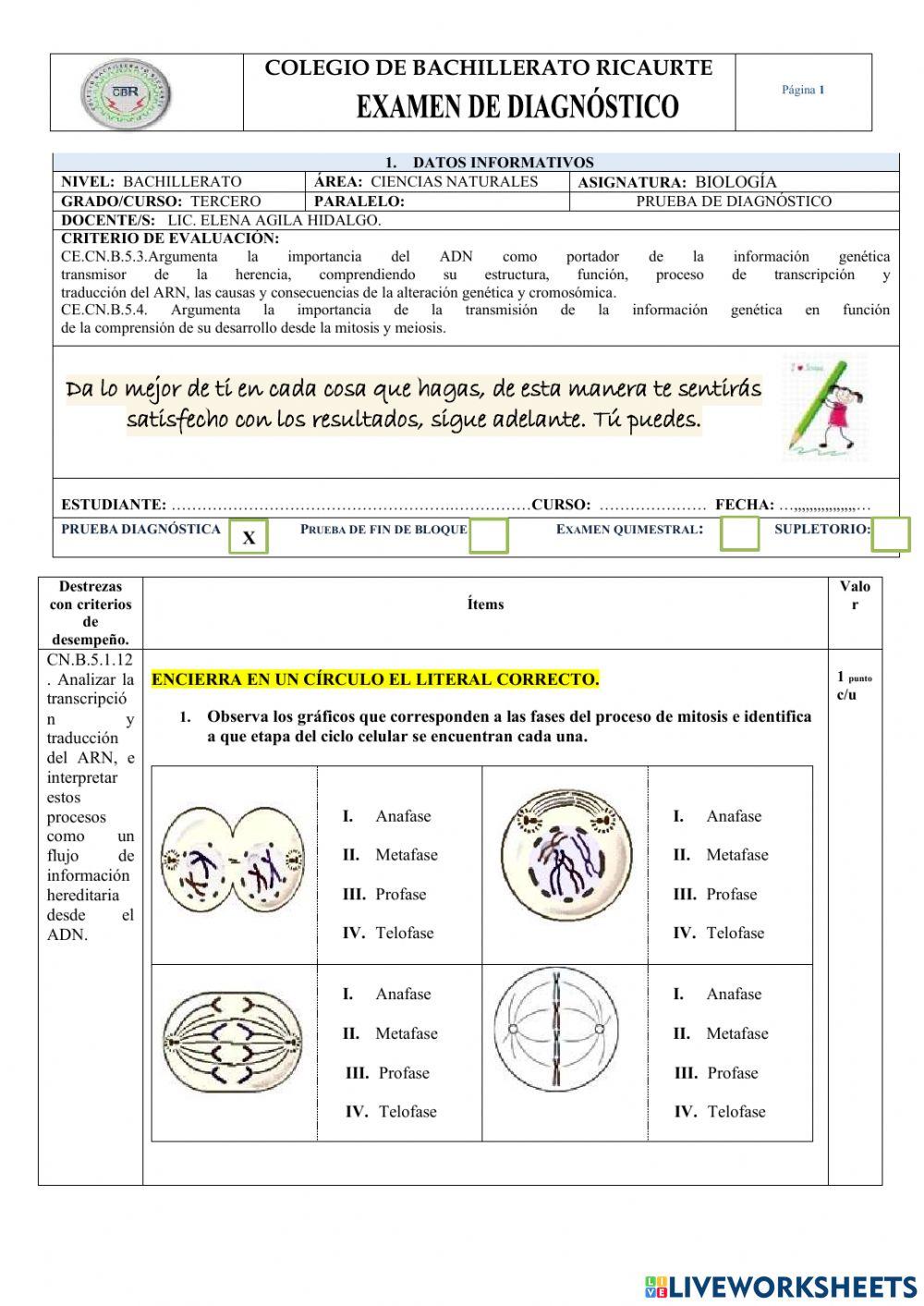 Prueba diagnóstico Biología 3ro