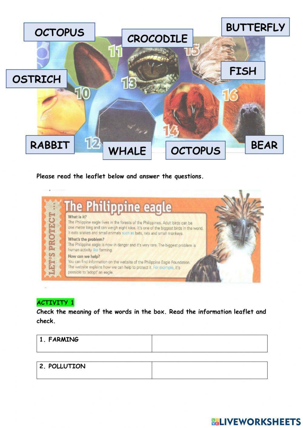 English plus 1 year 5