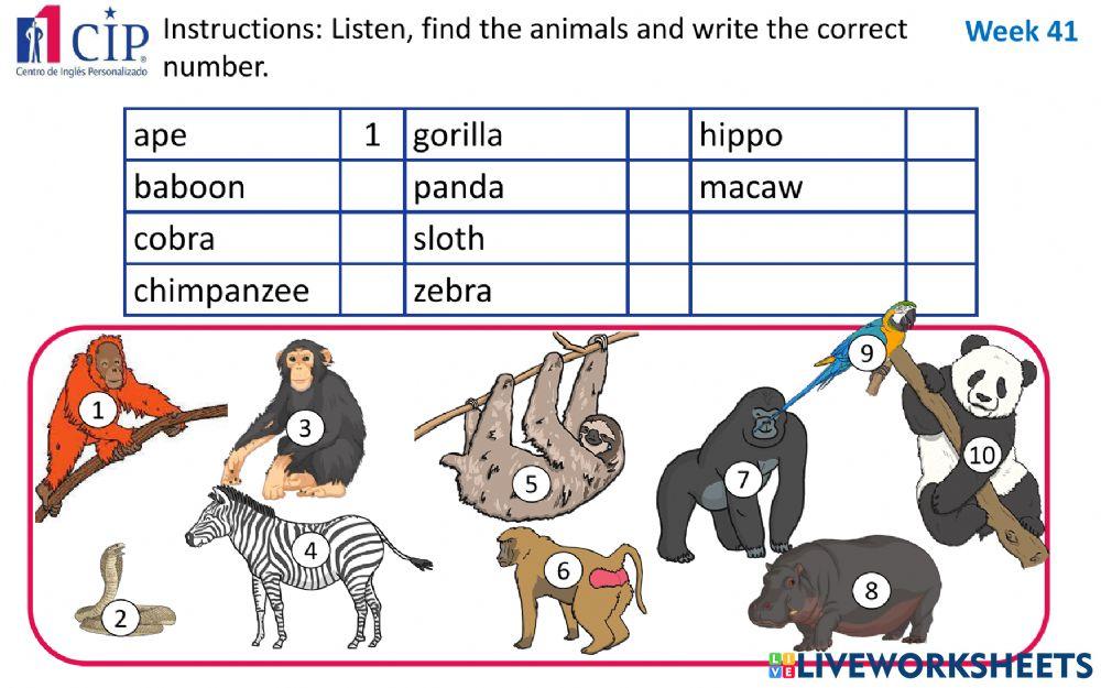 KIDS Jungle Animals Week 41