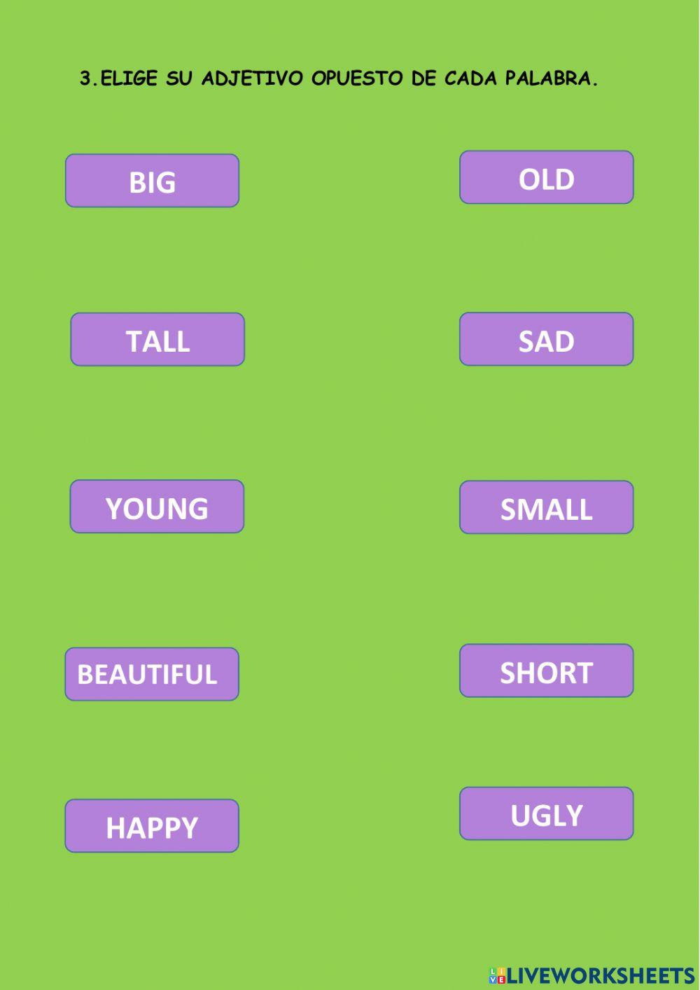 Examen de ingles segundo grado mes de agosto