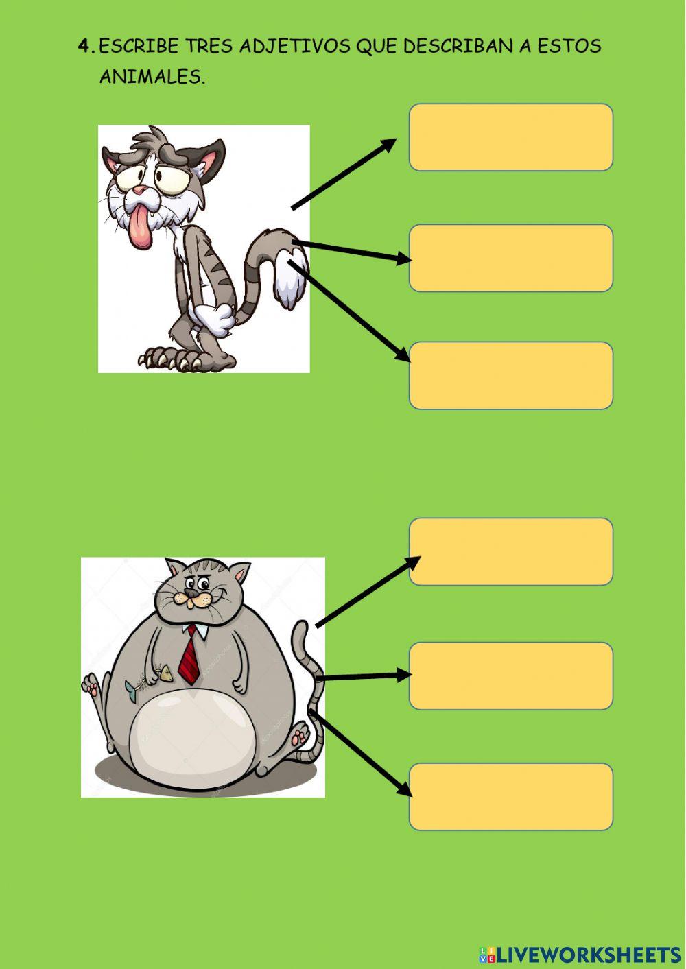 Examen de ingles segundo grado mes de agosto