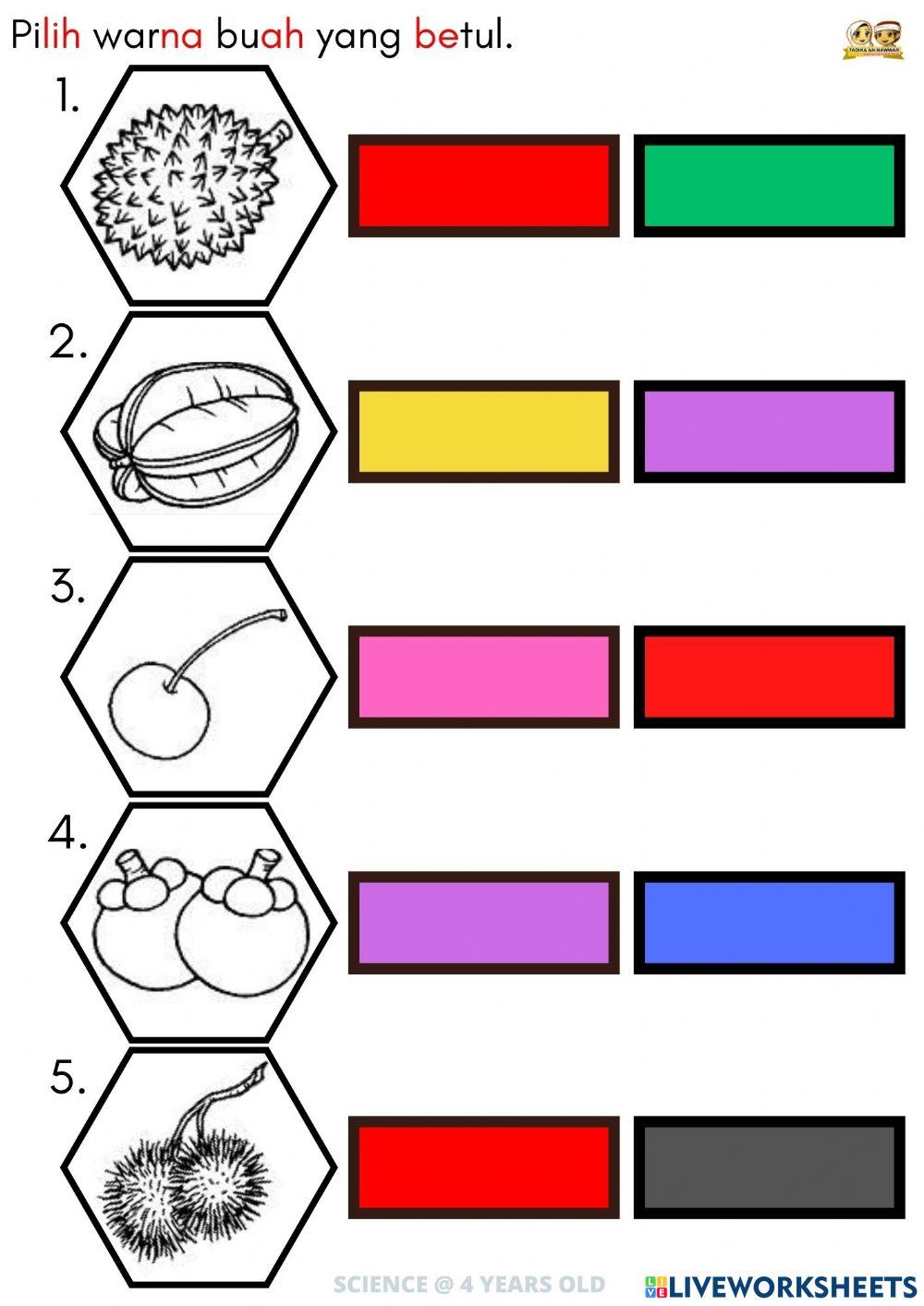 SAINS: Warna Buah-buahan