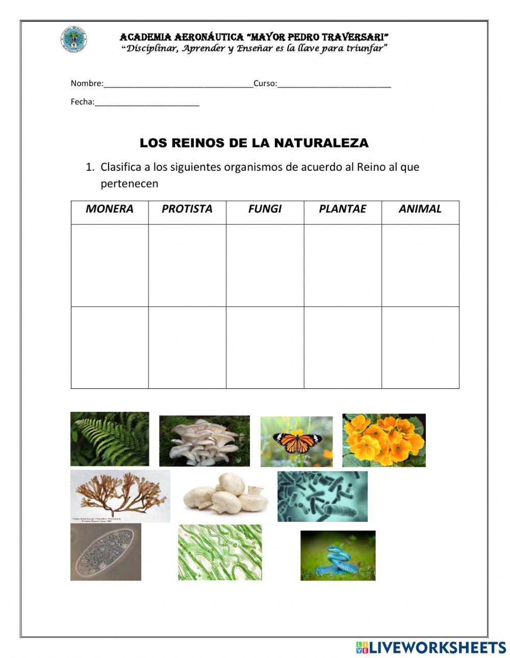 Reino de la naturaleza