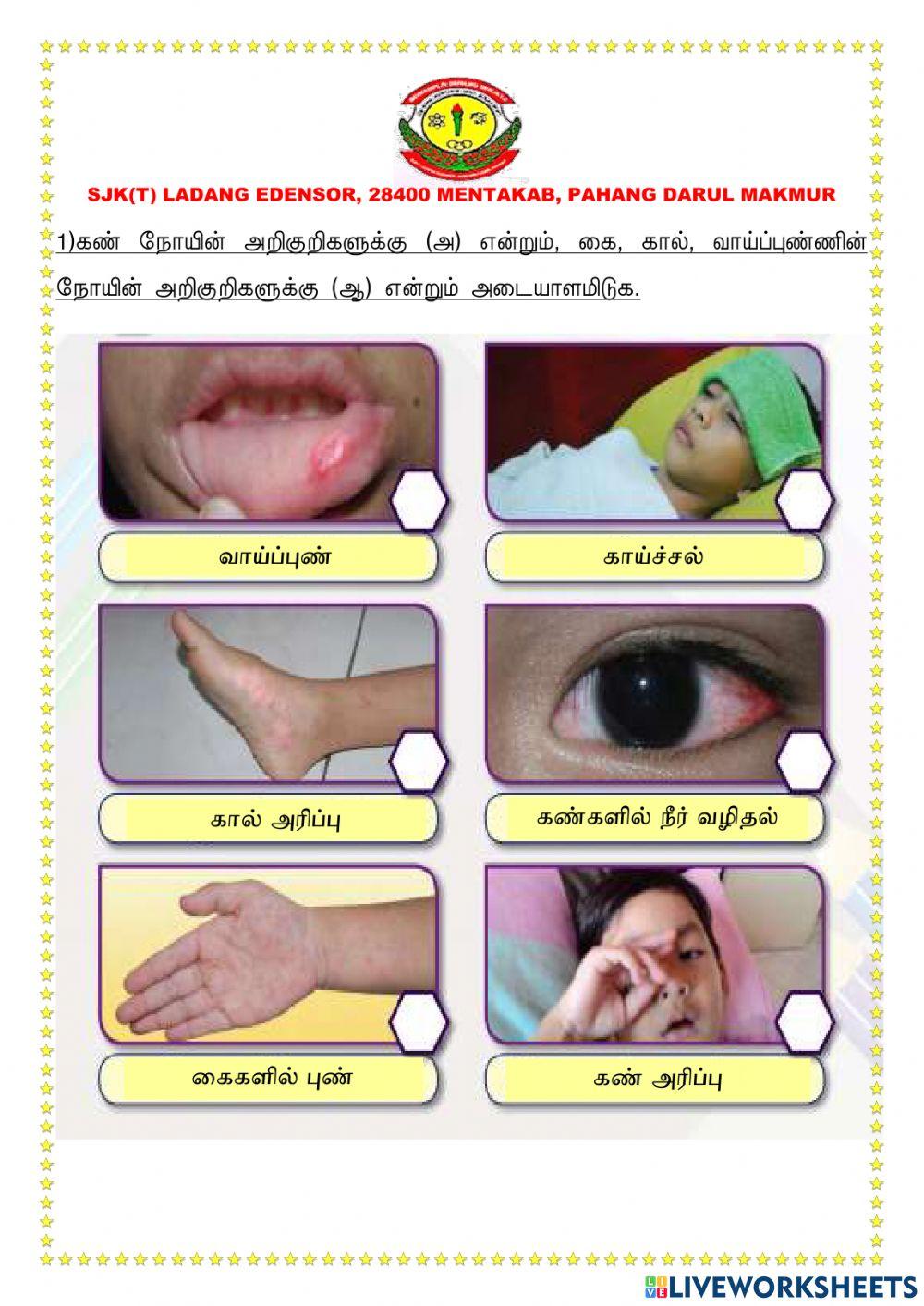 பரவும் நோய்கள்