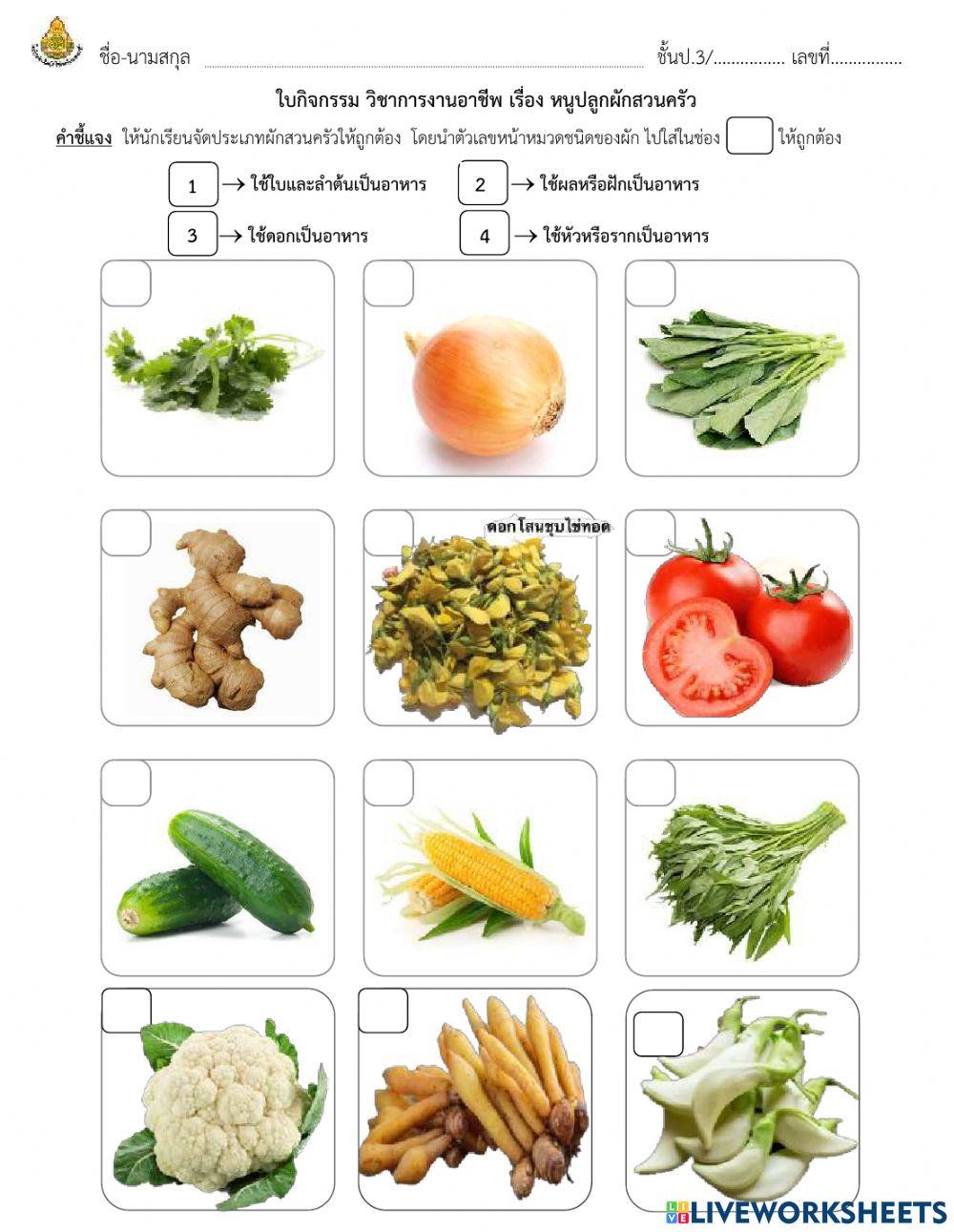 เรื่อง หนูปลูกผักสวนครัว