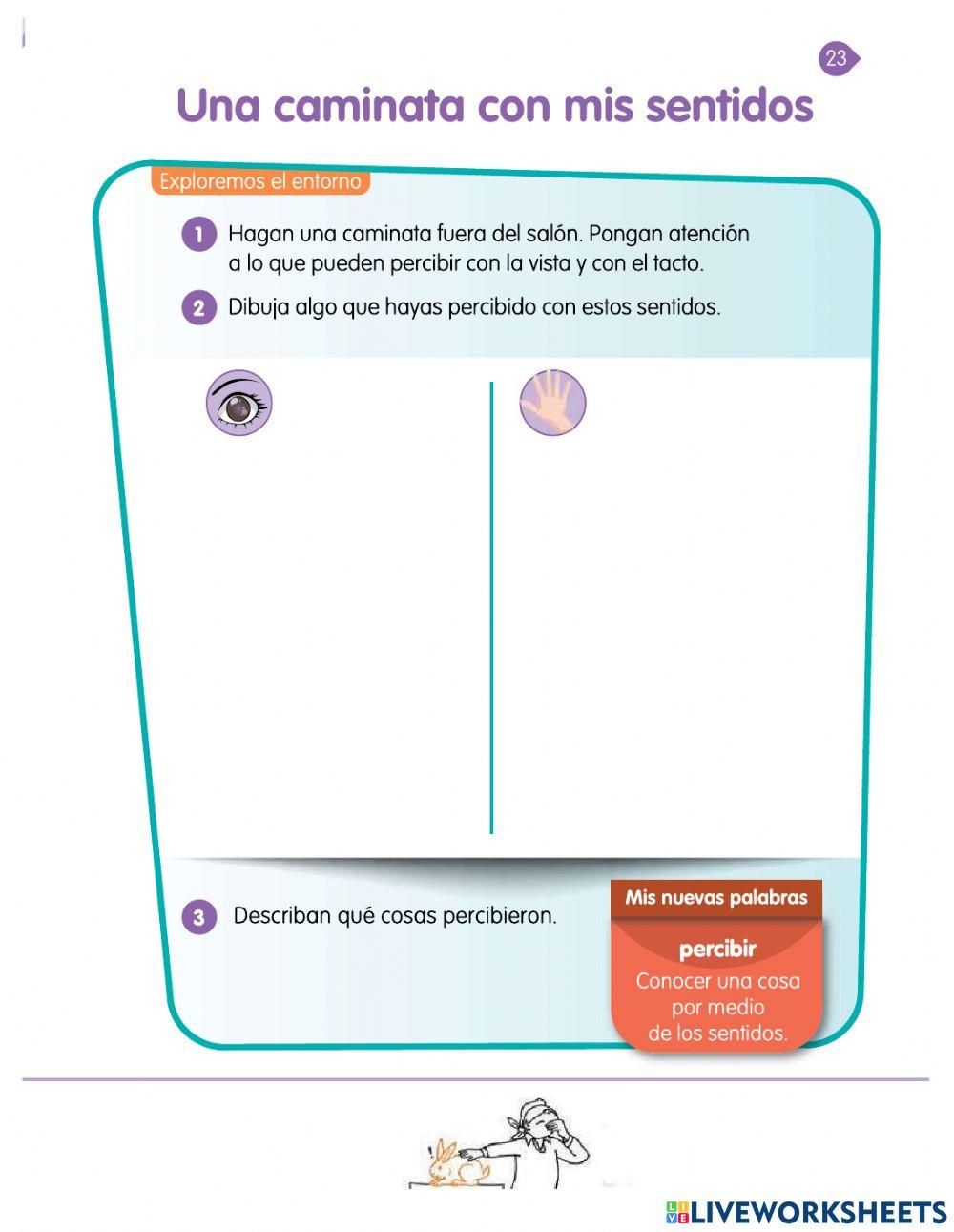 Una caminata con mis sentidos