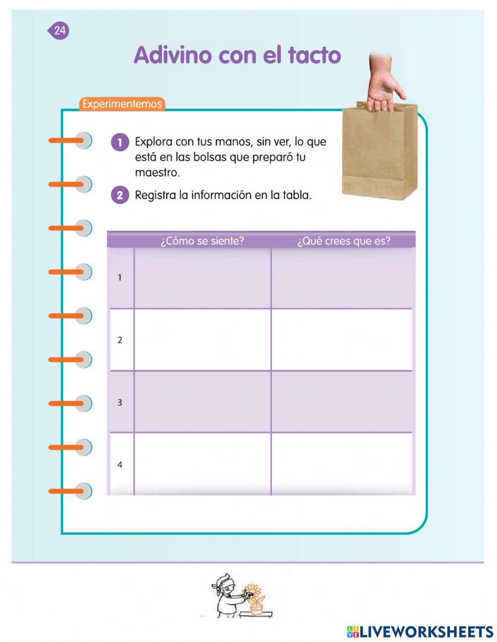 Una caminata con mis sentidos