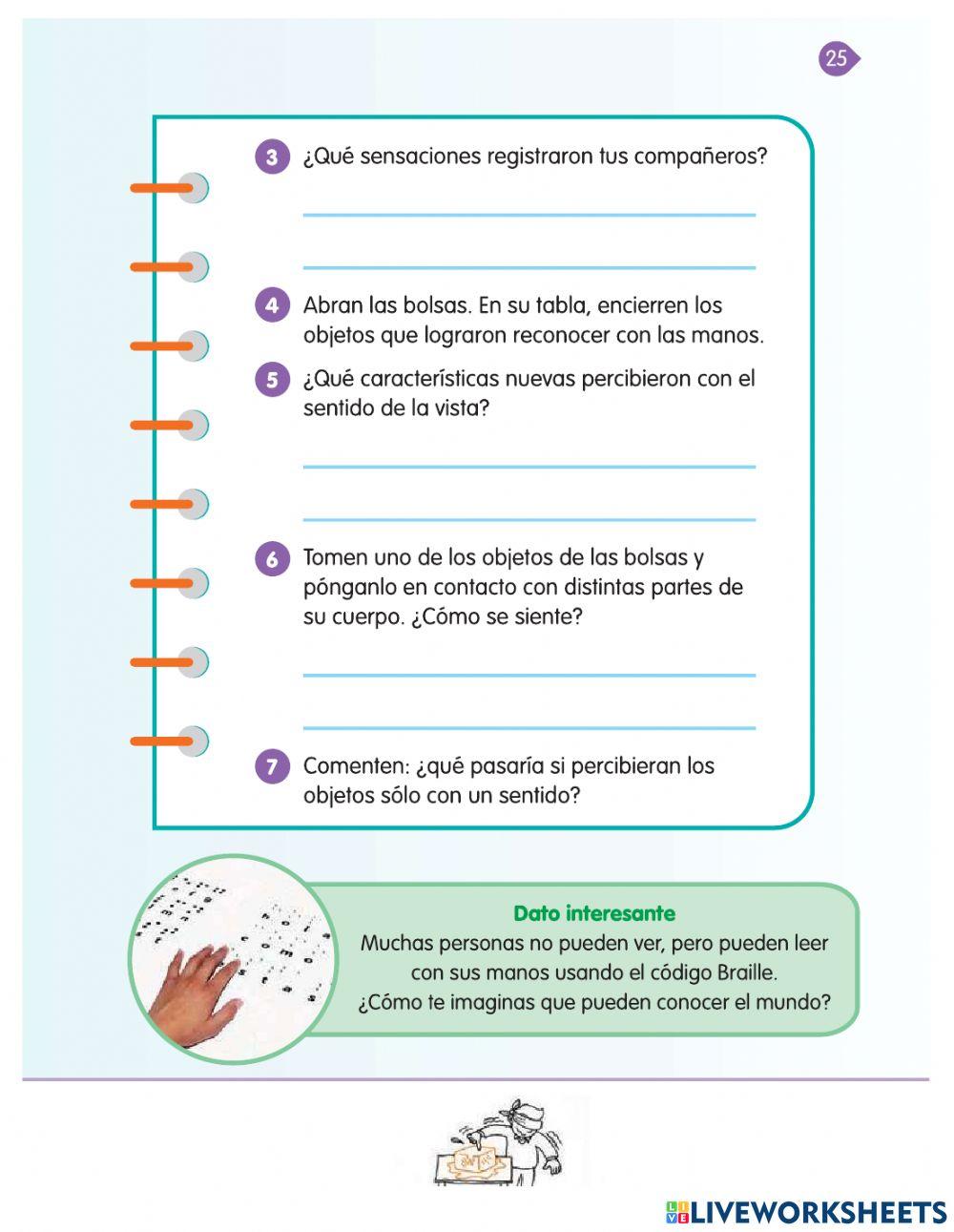 Una caminata con mis sentidos