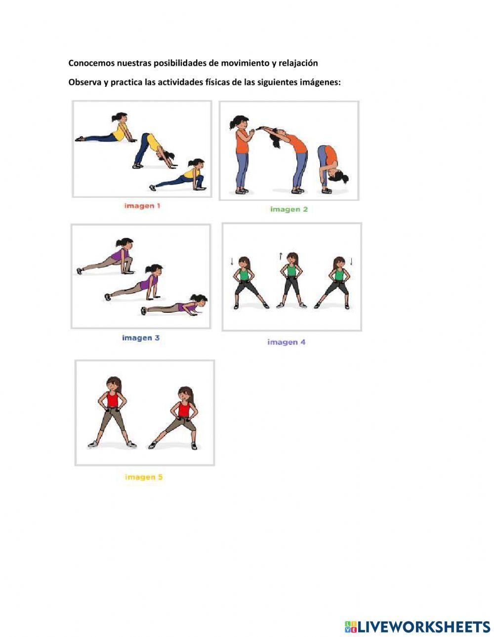 : Conocemos nuestras posibilidades de movimiento y relajación