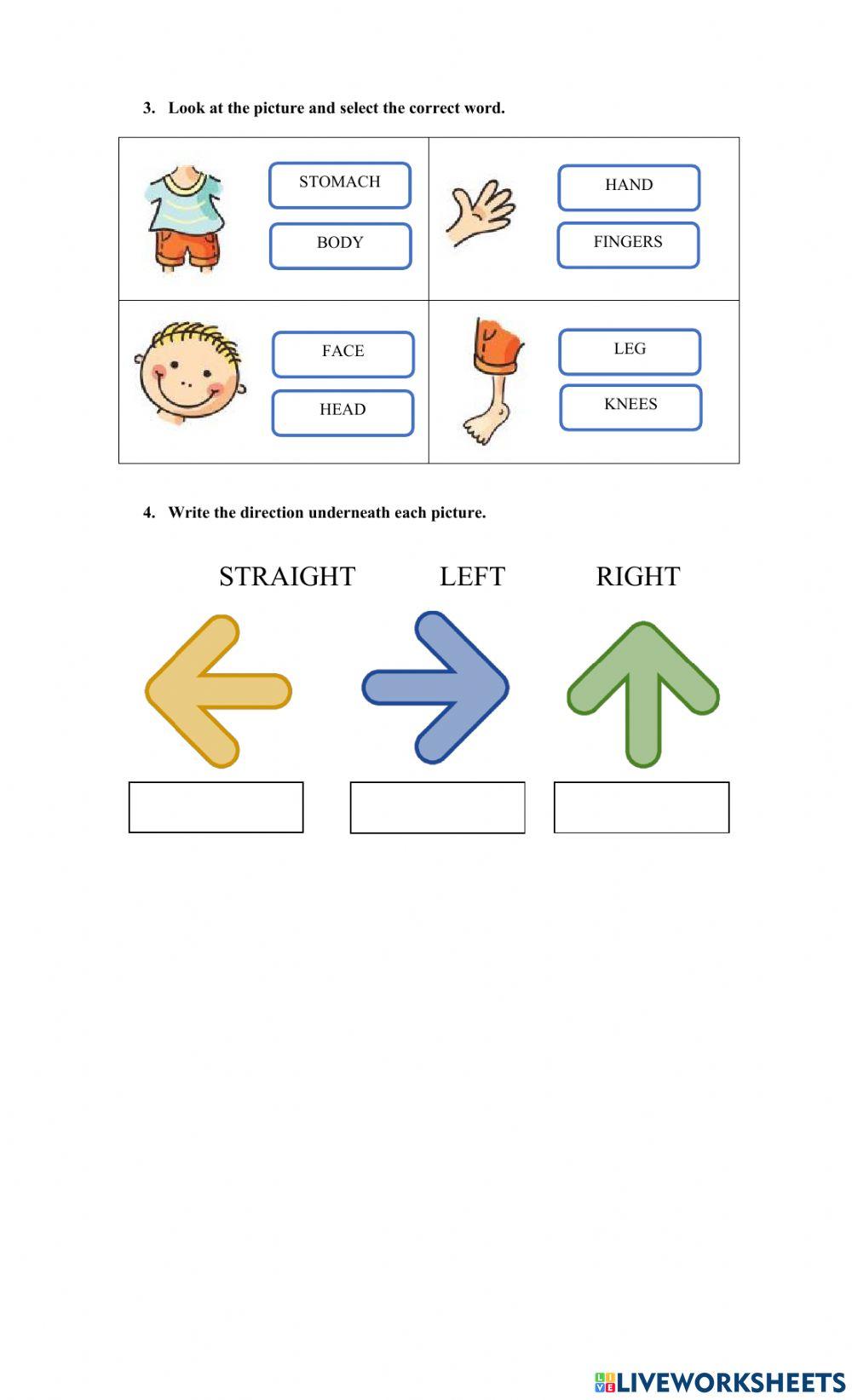 Science first grade exam