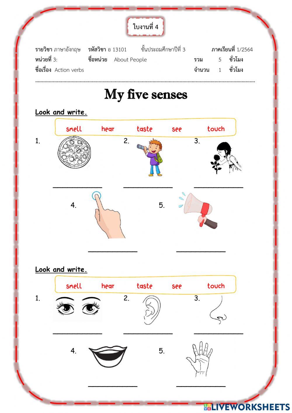 My five senses | Watcharaporn Onphaeng | Live