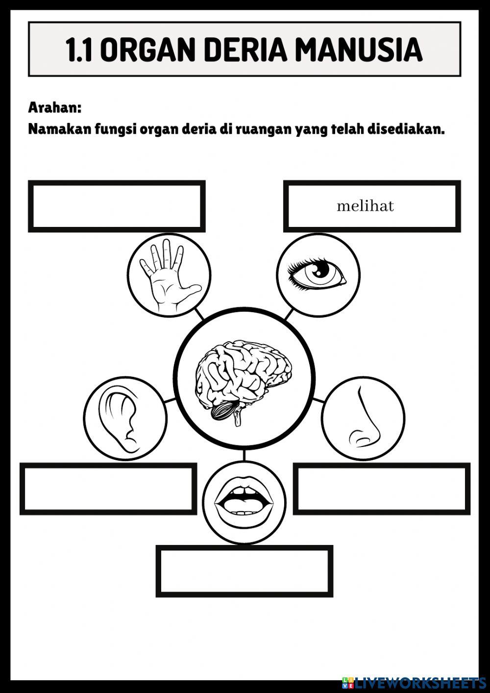 Unit 1: Manusia
