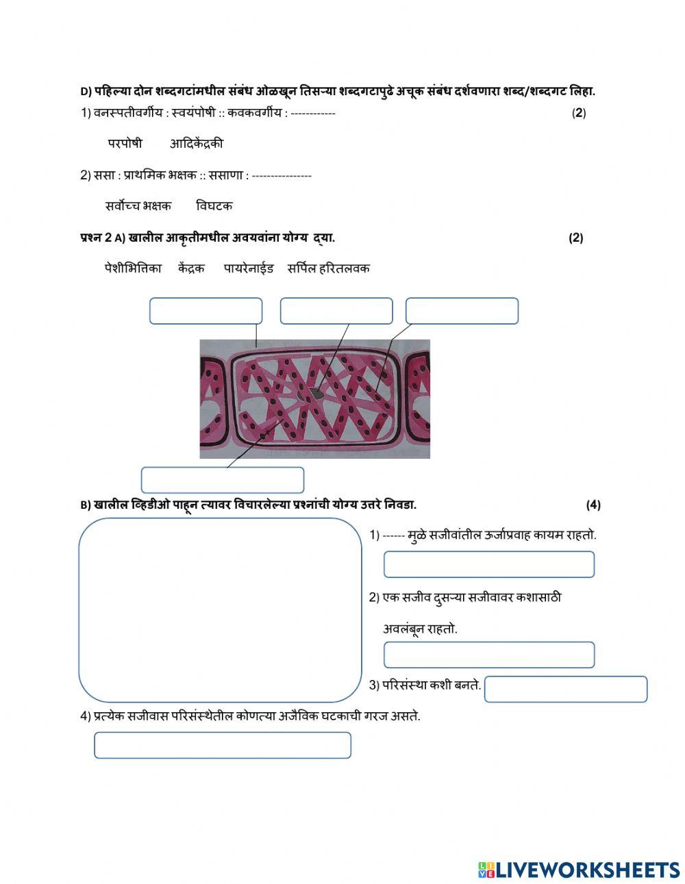 9th Science First Test - 2021 - 22