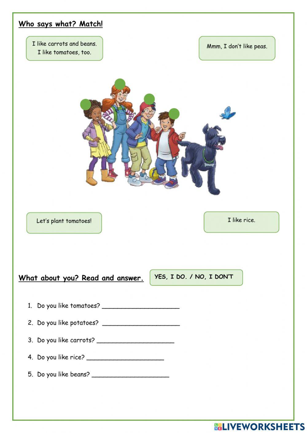 Video Test - The vegetable garden