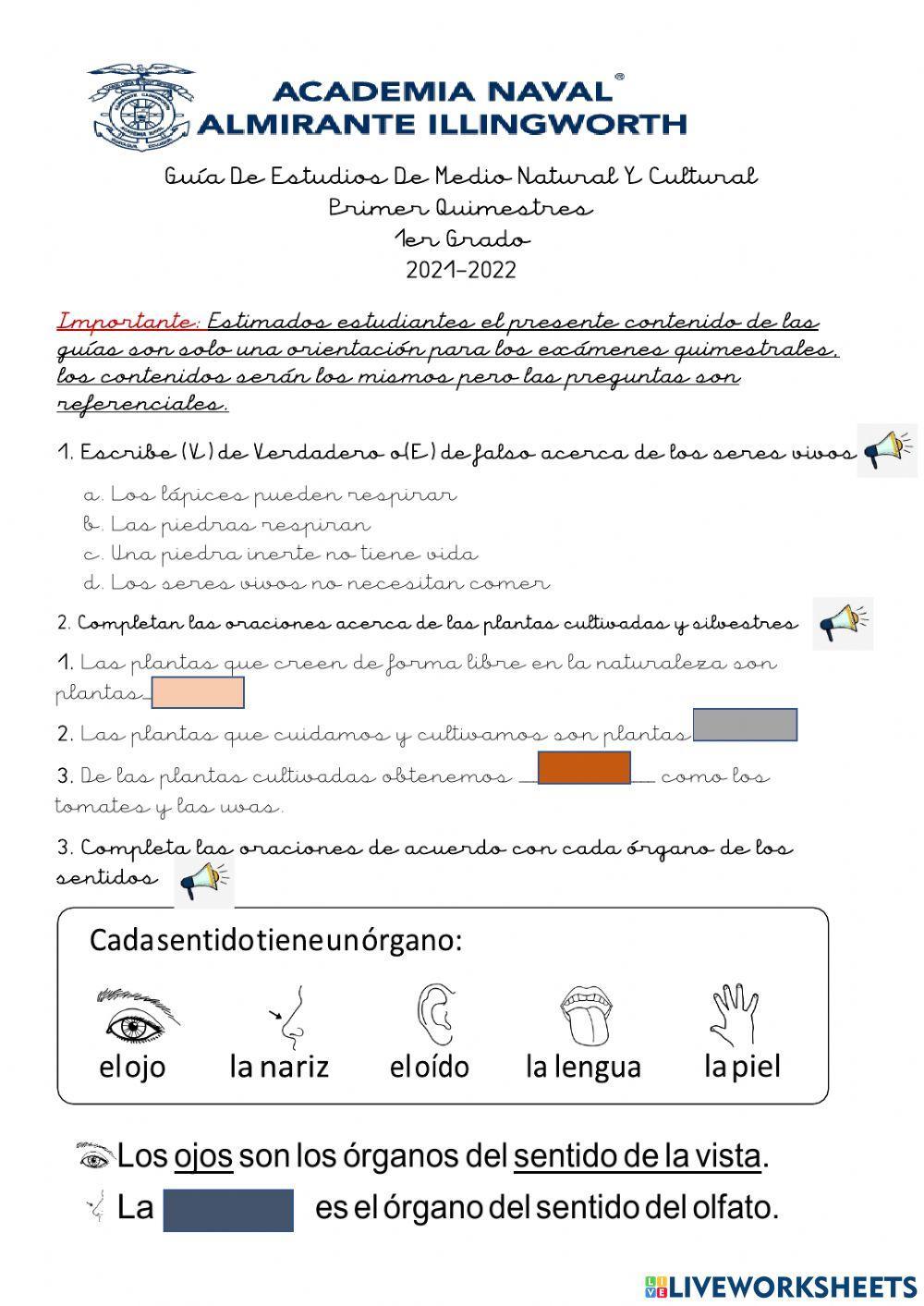 Guía de Descubrimiento del medio natural (1er GRADO)-1Q