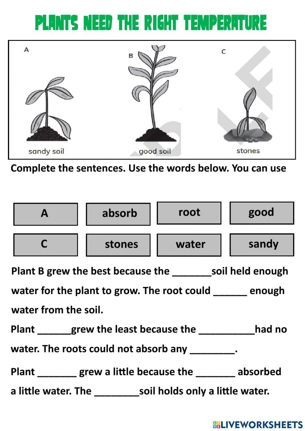 1415411 Plants and Conditions Dave Billinge