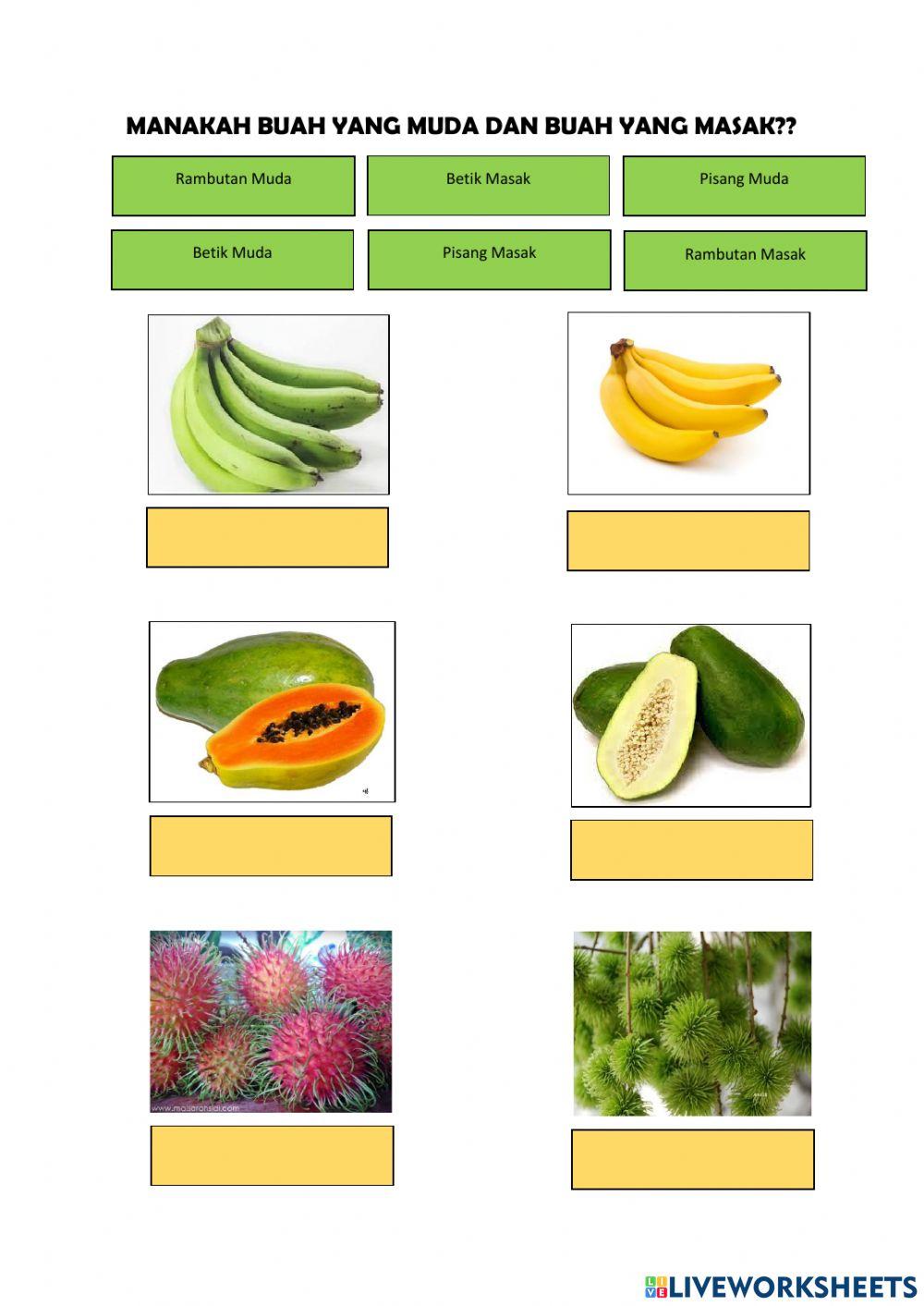 Unit 6 Kenikmatan Hidup