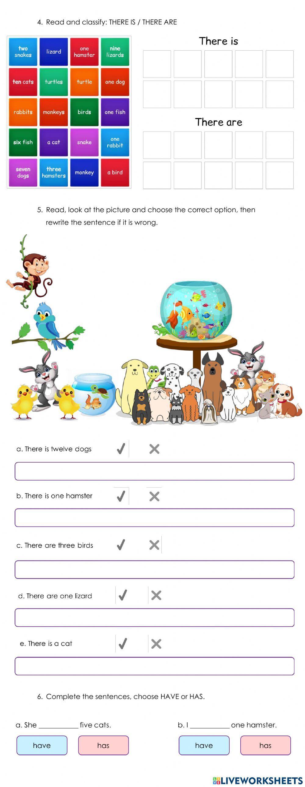 1° Third Term Evaluation