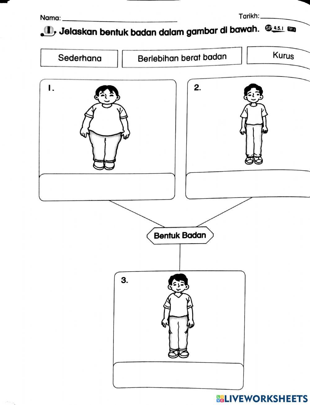 Pjpk tahun 2 larian cergas