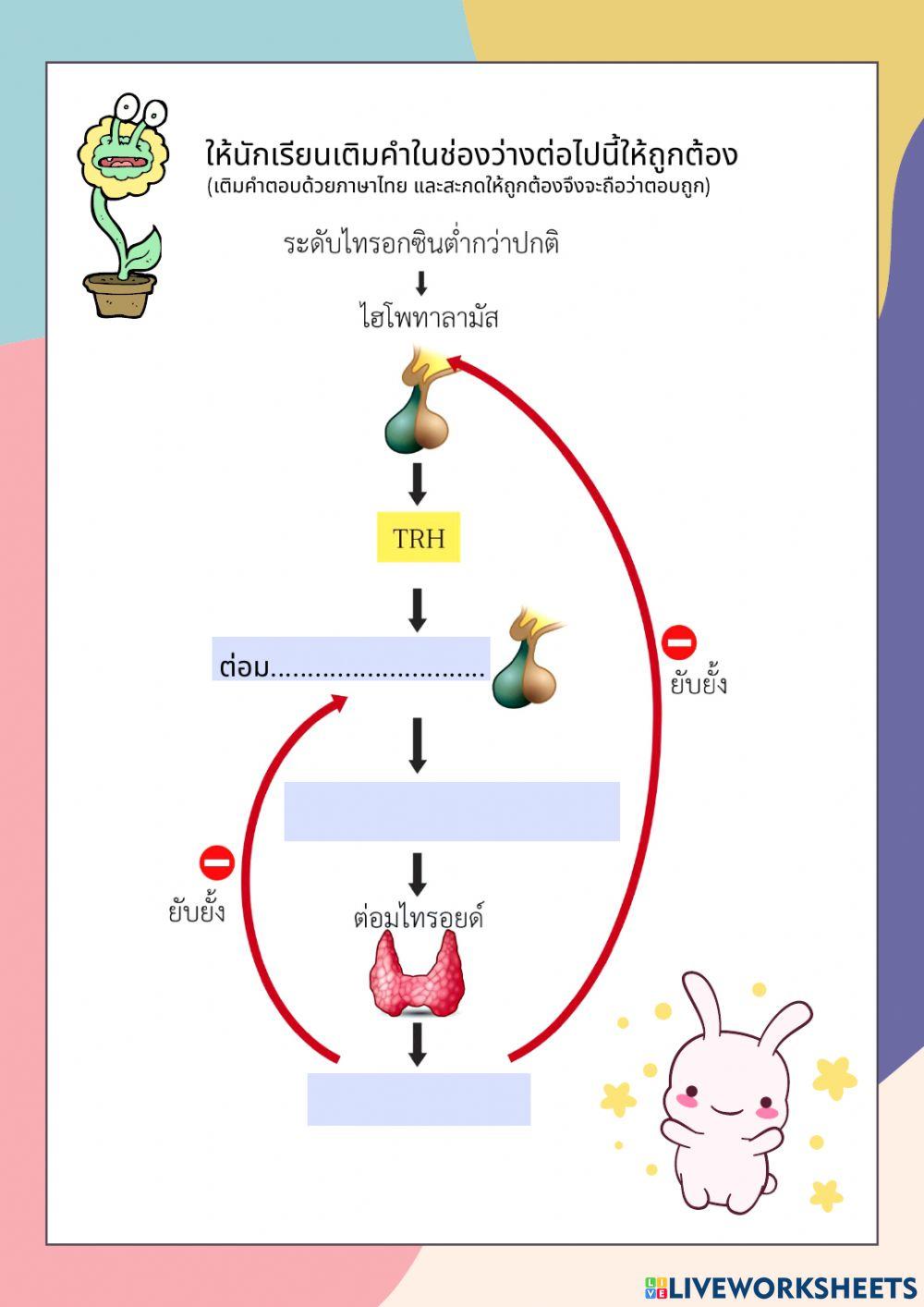 สมดุลของฮอร์โมน 6-6