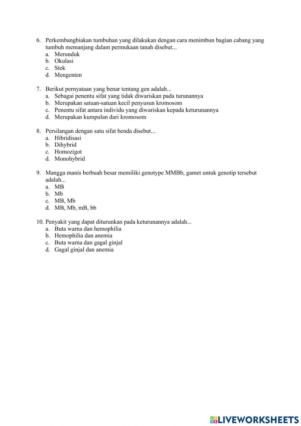 Penilaian tengah semester 1