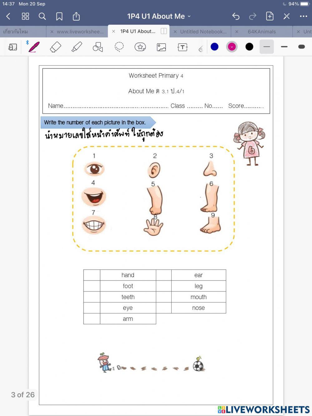 Parts of body 2 ป.4