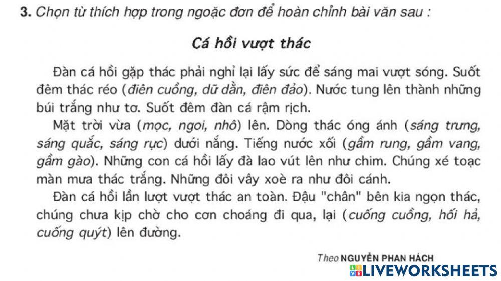 LTVC thứ 3