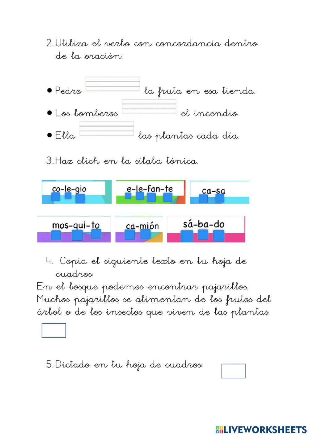 3º P lengua prueba inicial