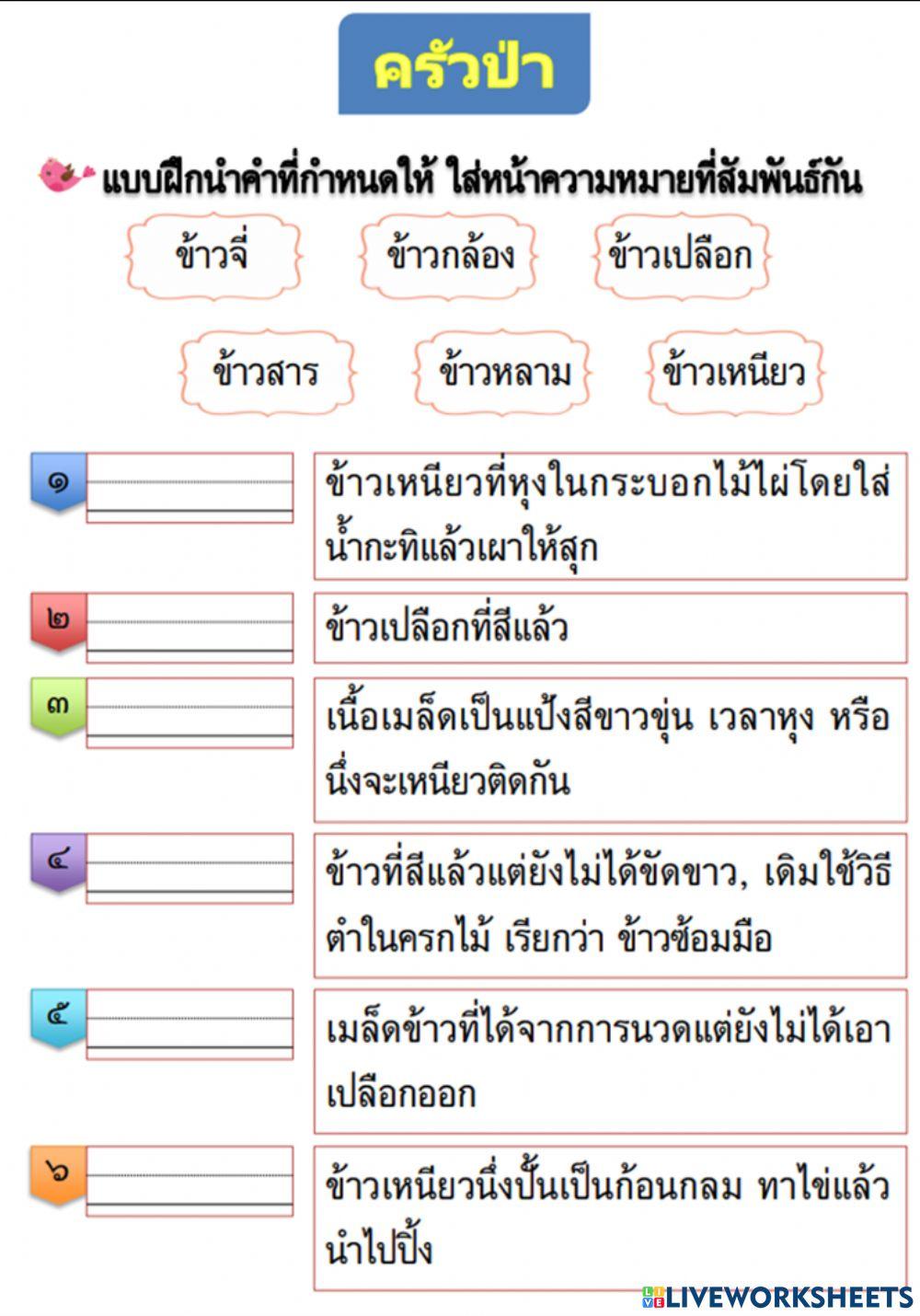 ครัวป่า 12
