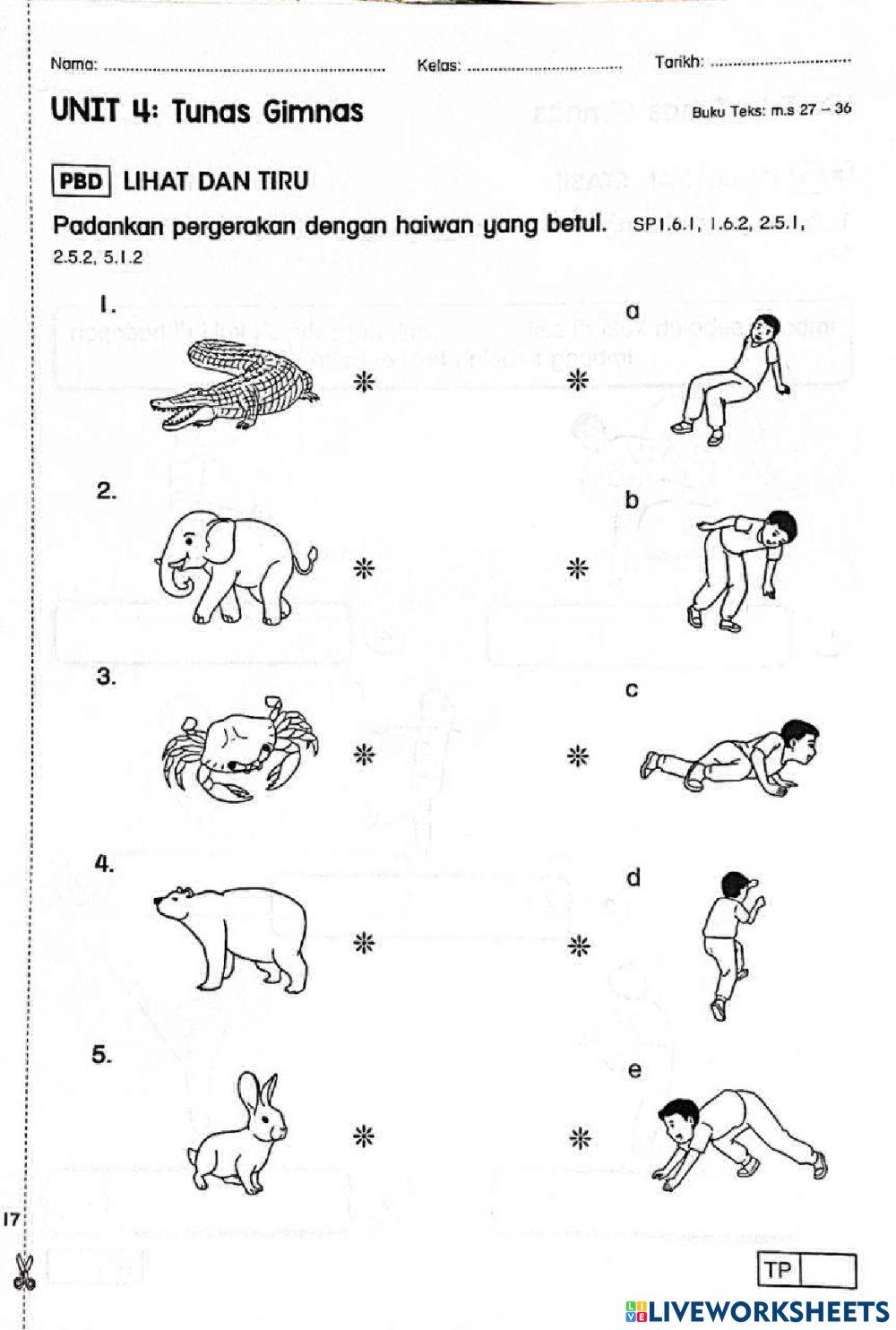 Pendidikan jasmani lihat dan tiru
