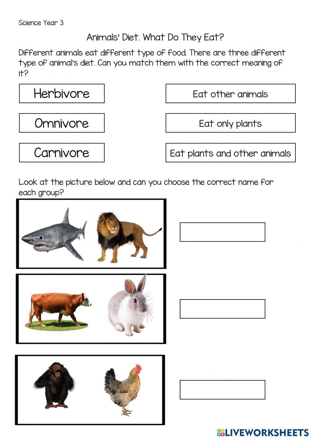What Animal Eat 1417842 Kairulkincho Live Worksheets What Animal Eat 1417842 Kairulkincho Live Worksheets