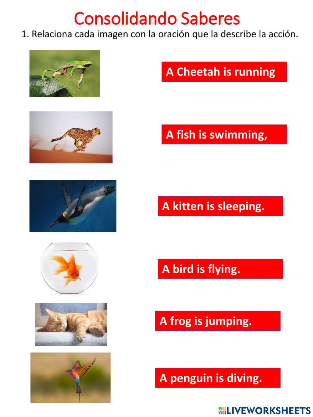 Acciones en presente continuo