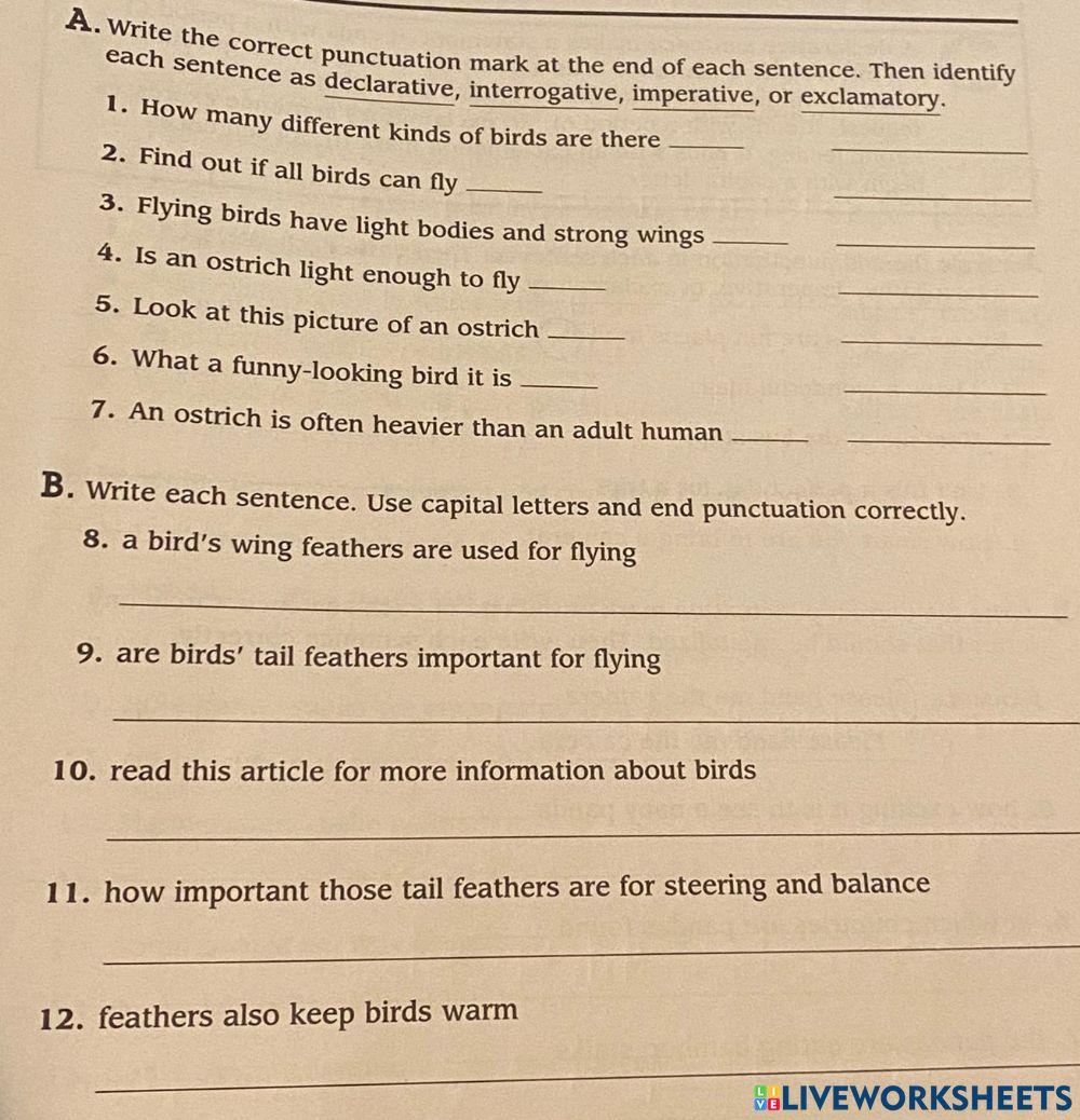 Four types of sentences