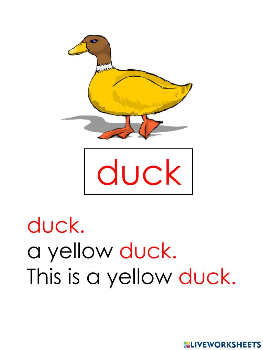 Reading by Teacher Rohaya SkFNS