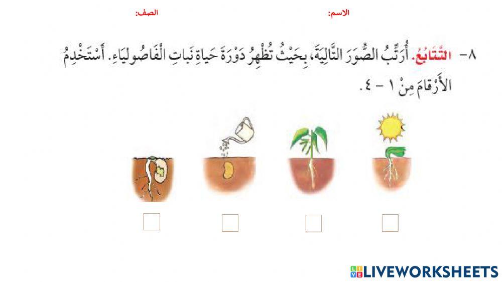 مراحل نمو النبات